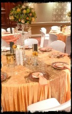 25550262_1538185526295443_4515717932069597746_n